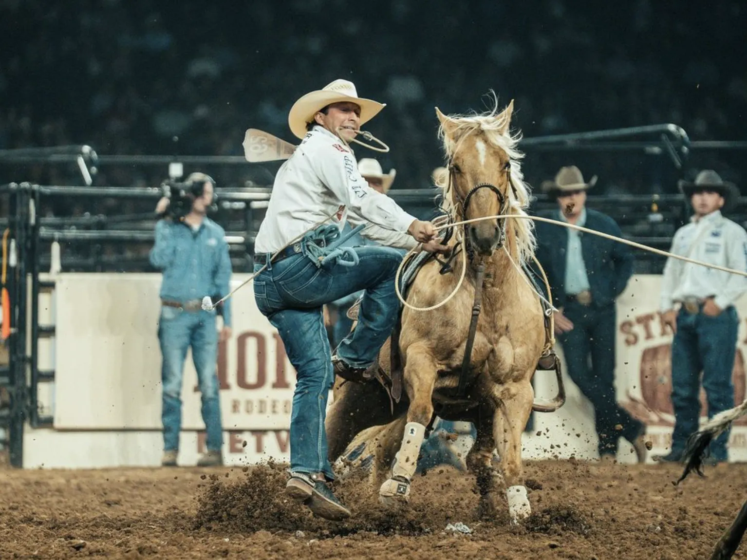Tie-down roper working in the arena