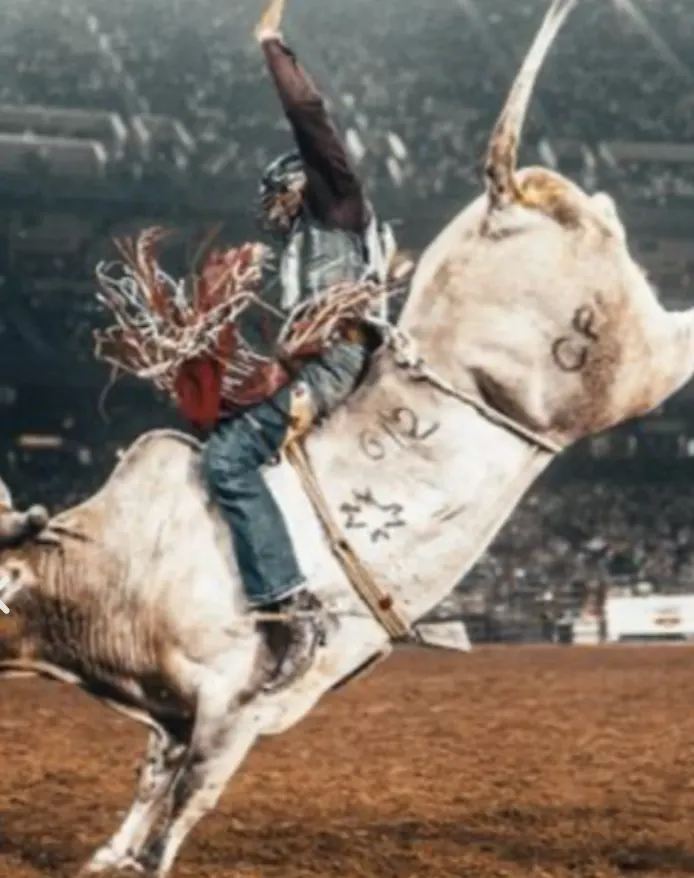 Saddle bronc rider on a bucking horse