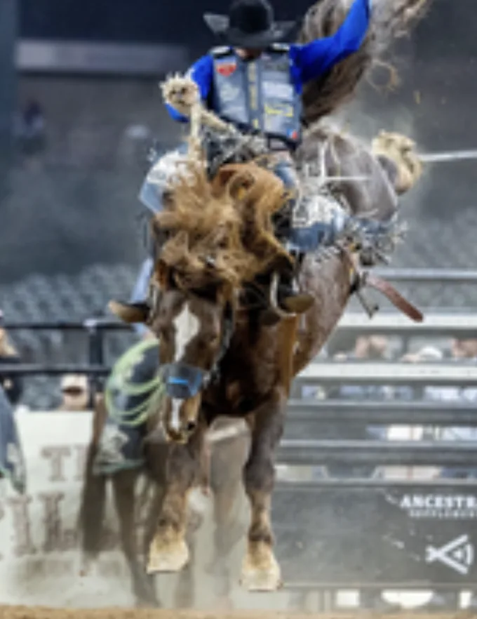 Bareback rider on a bucking horse